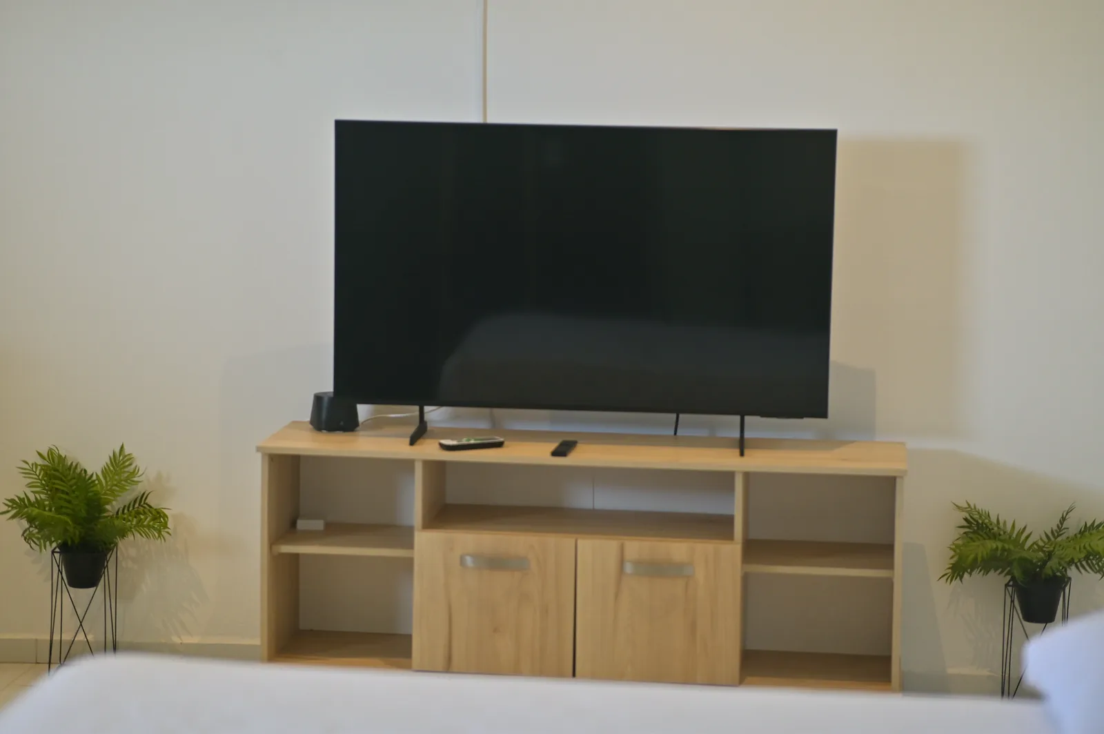 Televisor de pantalla plana sobre un mueble de madera clara, con helechos a cada lado.