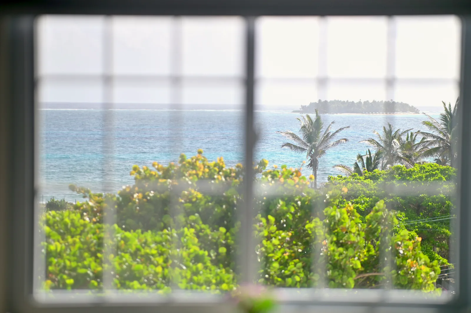 Johnny Cay visto desde la ventana de una habitación, sobre el arrecife y las palmas.